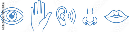 Icons representing the five senses: sight, touch, hearing, smell, and taste