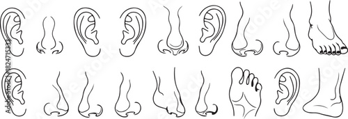Line Art Illustrations of Human Ears, Noses, and Feet in Various Poses