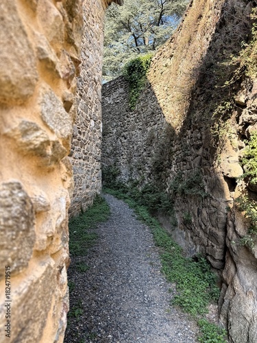 Serene gravel path winding through a historic pathway