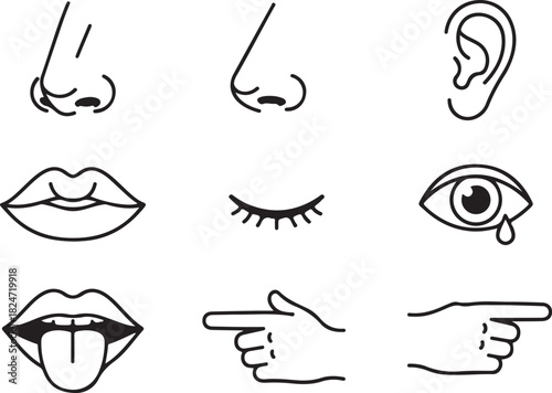 Minimalist Icons of Human Senses and Gestures in Black and White