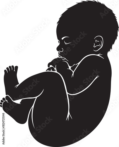 Silhouette of a Newborn Baby in Fetal Position, Peaceful and Serene