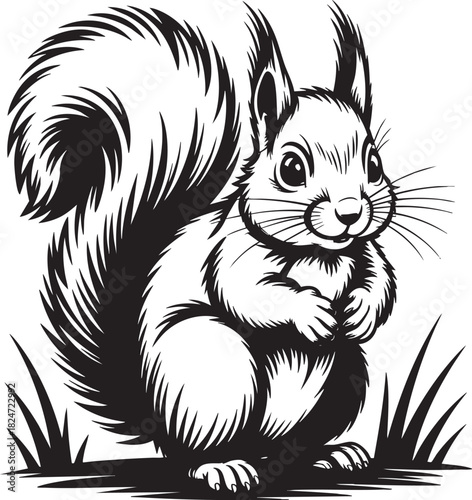 A charming, hand-drawn black and white sketch of a fluffy squirrel with a bushy tail, perched attentively on blades of grass.