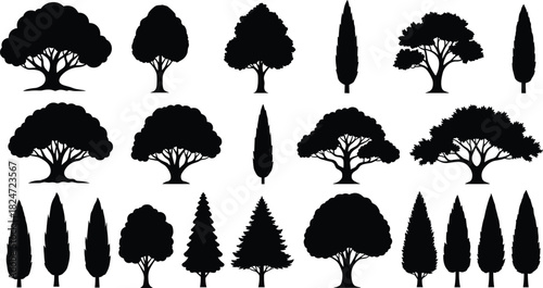 Large Set of Black Tree Silhouettes Including Oak, Pine, Cypress, and Deciduous Shapes, Ideal for Nature, Forest, and Landscape Design Elements.