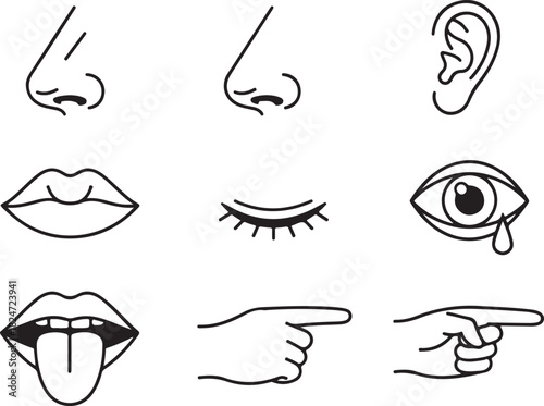 Simple Line Art Icons of Human Senses and Body Parts