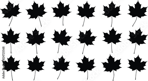 Repeated Pattern of Black Maple Leaf Silhouettes, Symbolizing Canada, Autumn, Nature, and Fall Season Design Elements, Perfect for Backgrounds.