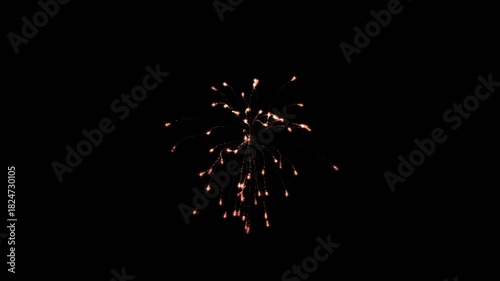 fireworks in the night sky