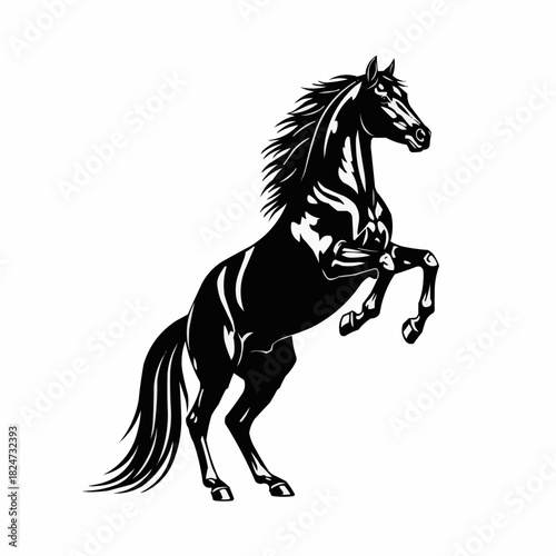 Majestic Black Horse Rearing Up on Hind Legs.