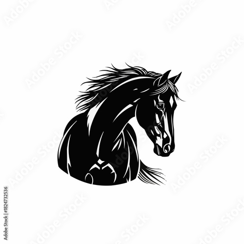 Elegant black horse head portrait with flowing mane and focused gaze.