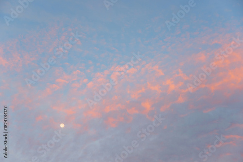 light blue sky and delicate light pink fleecy clouds and a full moon
