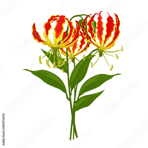 Flame Lily Gloriosa Flower bouquet