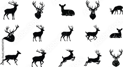 Silhouette of deer standing tall with antlers isolated on white background vector illustration