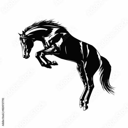 Powerful Black Horse Rearing Up in Dynamic Pose.