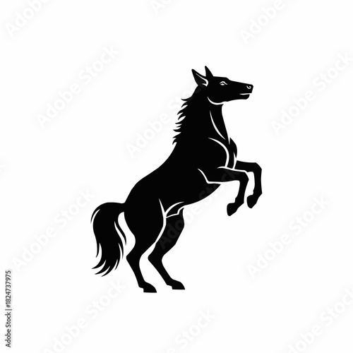 Majestic black horse rearing up silhouette against white background.