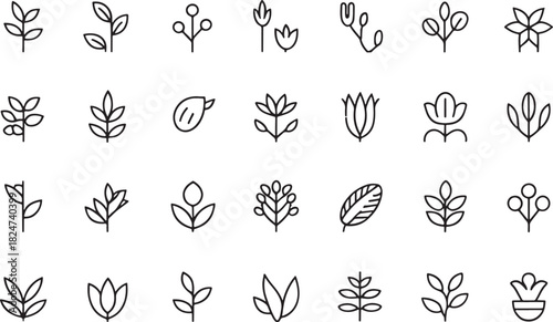 Botanical Line Art Icons Collection Of Leaves Flowers and Berries Keywords: botanical, plant, leaf