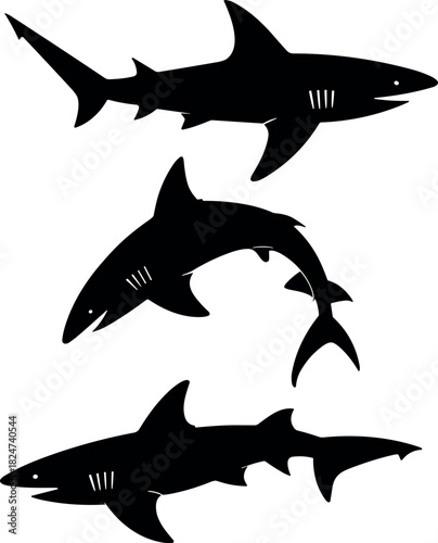 Three black shark silhouettes in different poses white background