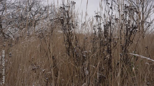 
autumn, grass, plants, leaves, sky, season, first snow, clearing, river, time, wind, weather,