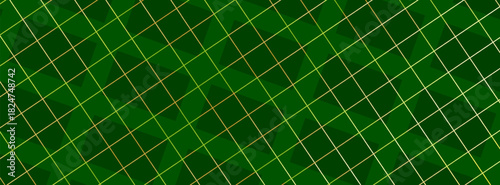 Christmas rhombus seamless pattern. Xmas plaid texture with gold line and stars. Green argyle geometric diamond abstract pattern. Christmas wrapping. Vector illustration isolated on green background.