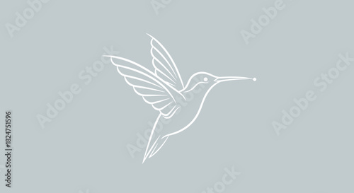 Elegant line art illustration of a hummingbird in flight, perfect for nature and wildlife themes