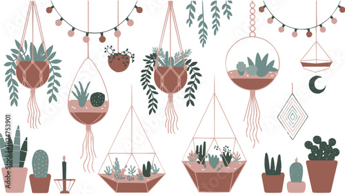 Boho minimalist illustration of hanging houseplants and succulents in macrame planters with geometric terrariums and home decor elements