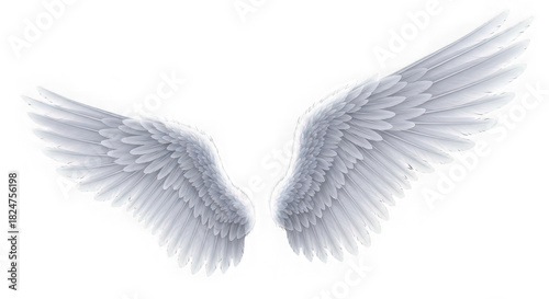 A pair of white angel wings spread out against a solid transparent  background 