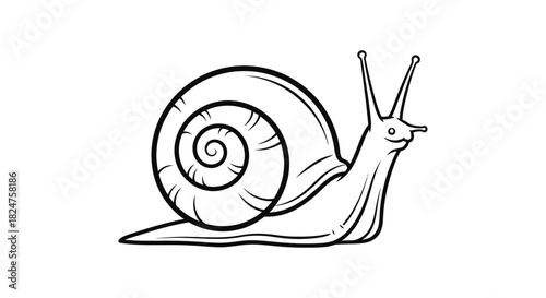 Detailed snail with a spiral shell moving slowly, isolated white background, black and white outline drawing.
