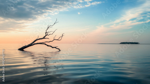 Tranquil sunset over a serene lake with a submerged tree branch.