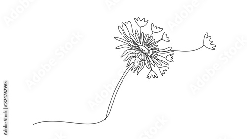 Line drawing of a dandelion flower with delicate details  