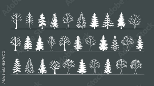 Winter tree silhouette collection with pine and leafless deciduous shapes in white on dark background for landscape and nature vector design
