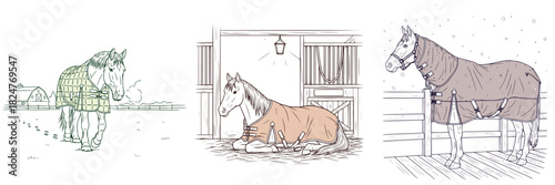 Horse wearing blankets in various settings with soft outlines  
