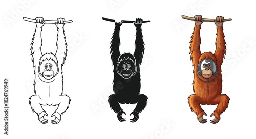 Set of three orangutan illustrations showing outline, silhouette, and fullcolor versions hanging from a branch