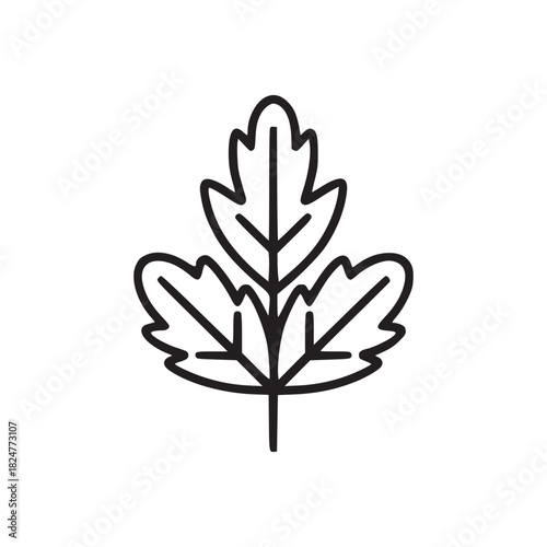 Isolated outline illustration of a leaf with three lobes in a minimalist style on a white background