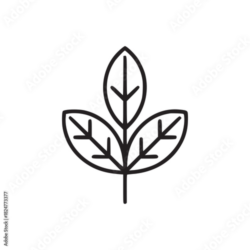 Minimalist line art illustration of a plant with three leaves on a white background in simple style
