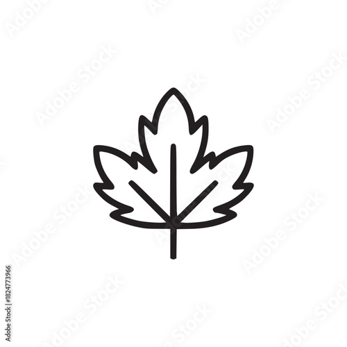 A simple line drawing of a maple leaf with distinct lobes and veins on a plain white background