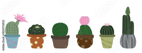 Hand drawn succulent cactus potted plants. Hand drawn vector illustration in flat style. Mammilaria, Sand dollar, Turk's cap cactus, Moon cactus, Echinocereus ridissimus, cereus on white background