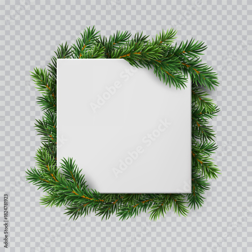 Banner with green fir branches isolated on transparent background. 3d Christmas tree garland decoration. Vector blank picture canvas, box. Pine, xmas border and white frame