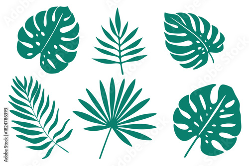 Six teal tropical leaves including monstera and fan palm are displayed together stylishly