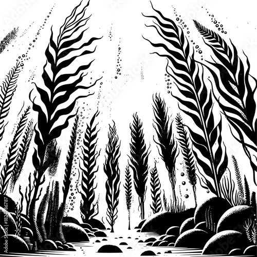 Kelp forest blue carbon showing marine ecosystem carbon sequestration and ocean climate solution through seaweed biomass
