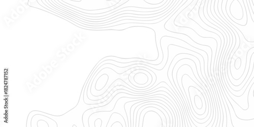 Modern land relief geographic abstract topography map design White background. geometric topographic world grid wave Topographic map geographic line texture.	