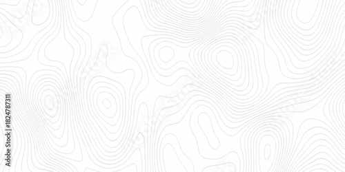 Modern area abstract topography map design. White curve map background. geometric topographic world grid wave Topographic map geographic line texture.	