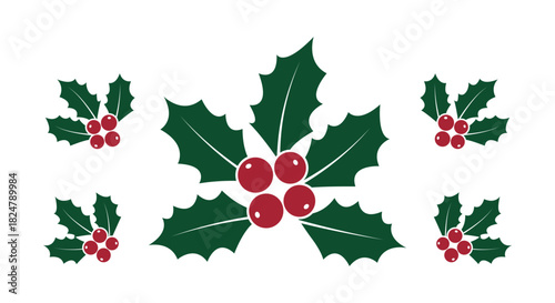 Vector illustration of christmas holly leaves and red berry decoration