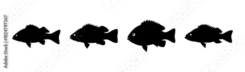 Four black fish silhouettes arranged horizontally in a line.