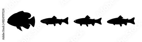 Black fish silhouettes marine life animal icons collection