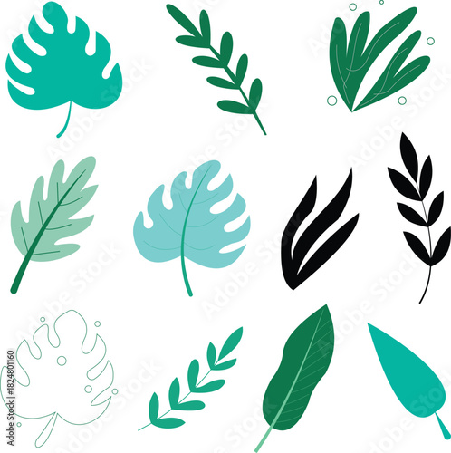 Collection of Diverse Tropical Leaves and Botanical Elements in Various Colors leaf plant