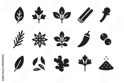 Collection of 16 black silhouette herb and spice icons on white background