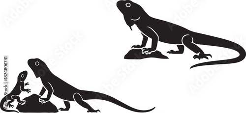 Bearded dragon or monitor lizard reptile silhouettes two adults one juvenile standing on rocks nature outline.