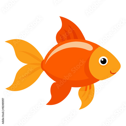 goldfish on white background