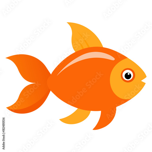 goldfish on white background