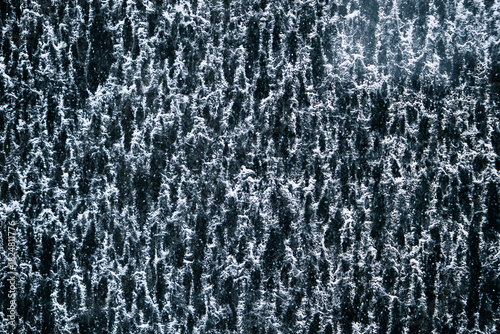 abstract texture of frozen wet dust and dirt on window glass