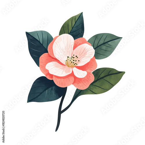 Beautiful Pink Flower Illustration Showing Delicate Petals and Green Leaves o...
