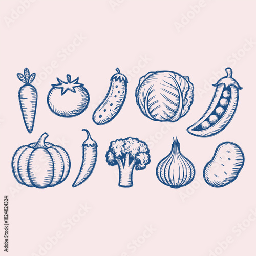 Hand drawn blue ink vegetables on a pale pink background carrot tomato